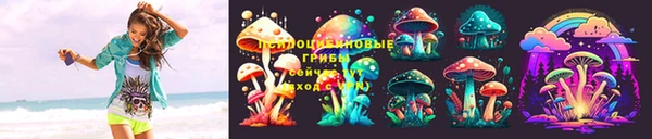 мяу мяу мука Белокуриха