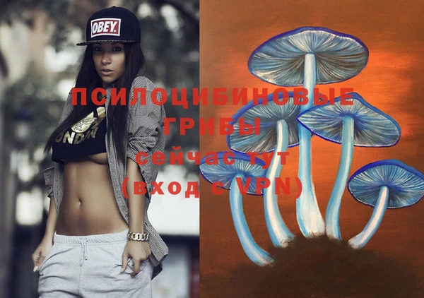 мяу мяу мука Белокуриха